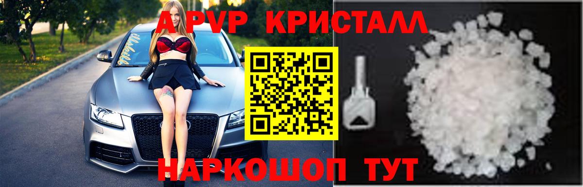 Альфа ПВП СК КРИС Грозный