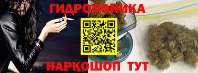 крисы Балаково