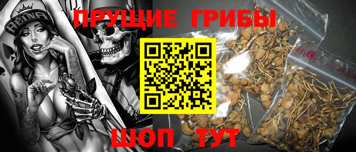 Грозный  Псилоцибиновые грибы Magic Shrooms  Вход с VPN 